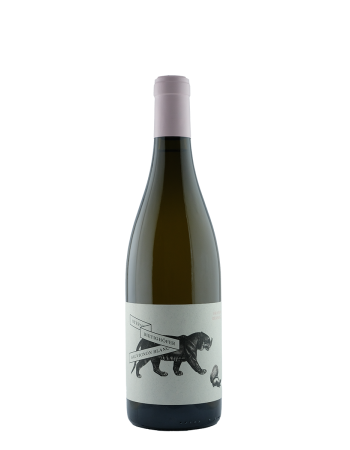 Sauvignon Blanc